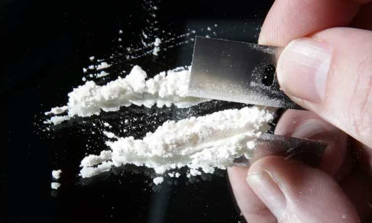 Pune Crime | Pune Police Crime Branch seized 5 lakh cocaine from two foreign nationals