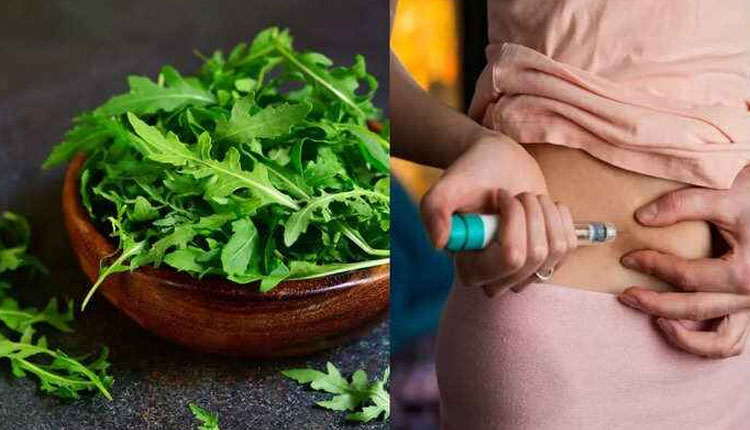 Herbs For Diabetes | according to research diabetes patients include arugula or rocket plant leaf in diet to control blood sugar level naturally