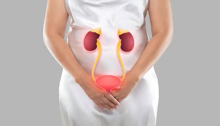 Kidney Failure | what is kidney failure know the causessymptoms and treatment