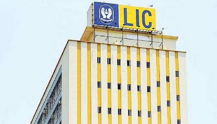 LIC Share Price are you worried about fall in lic shares know this report of jp morgan