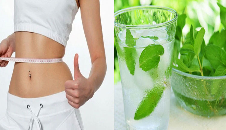 Mint For Weight Loss | mint for weight loss drink mint water benefits in marathi fit your health