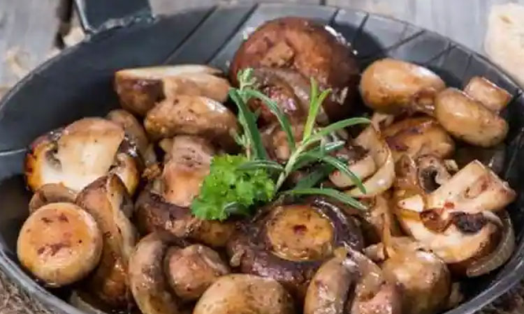 Magic Mushroom | benefits of mushrooms get rid of stress or depression just by adding mushrooms in the diet