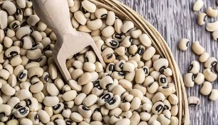 Benefits Of Cowpea | benefits of cowpea health benefits of protein rich cowpea