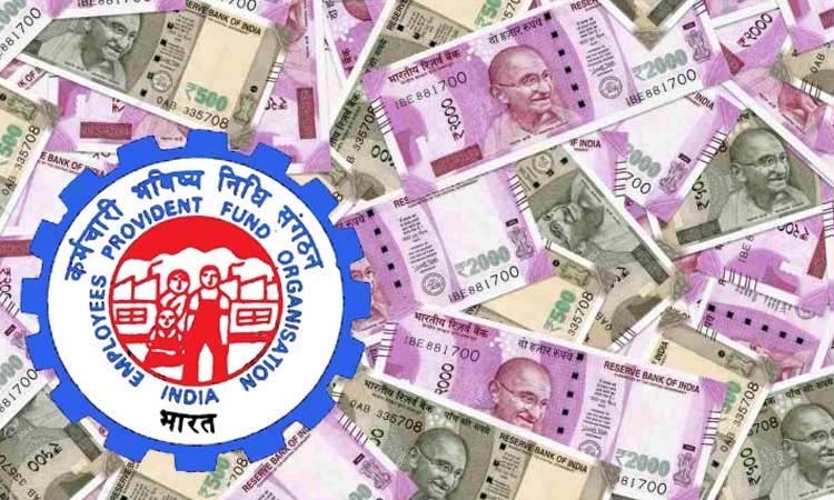 EPFO Interest Rate | epfo interest rate date down 81for this year big update on epfo and all over employee