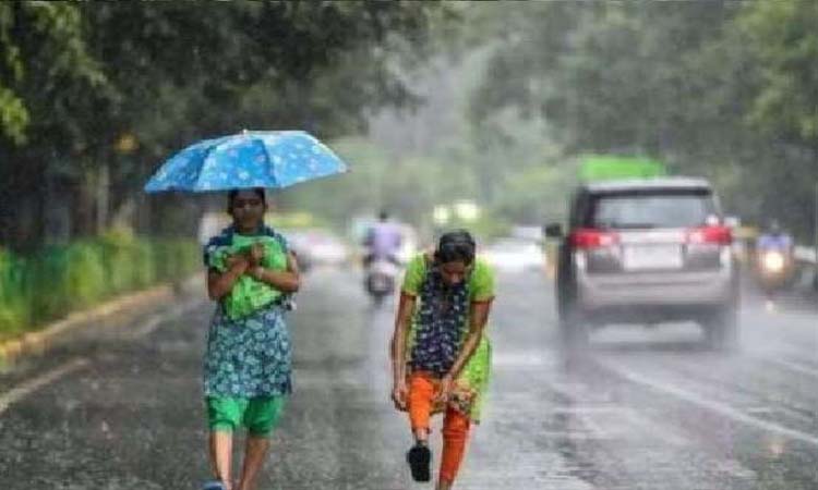 Maharashtra Monsoon Update | monsoon on the border of maharashtra average heavy rainfall forecast in state marathi news