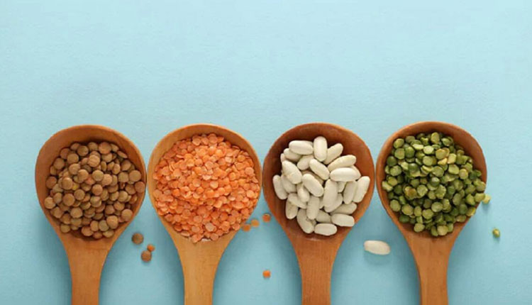 Diabetes Diet | these 5 pulses help to reducing blood sugar level
