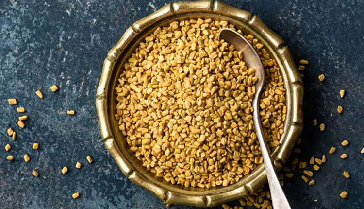 Methi For Diabetes | methi for diabetes diabetes patients should consume fenugreek seeds daily in these ways blood sugar levels will be under control