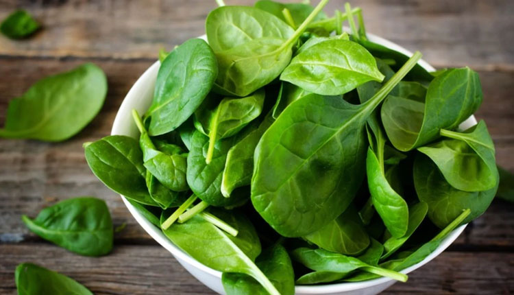 Palak Benefits | Palak spinach benefits for men health benefits of eating spinach mens health treatment of sexual problem
