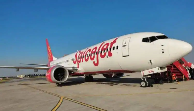 SpiceJet | dgca curtailes spicejet flight operations to 50 percent for 8 weeks after multiple technical snags reports