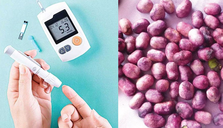 Diabetes Diet | type 2 diabetes ayurvedic home remedies food black plum seed fig leaves fenugreek garlic cinnamon