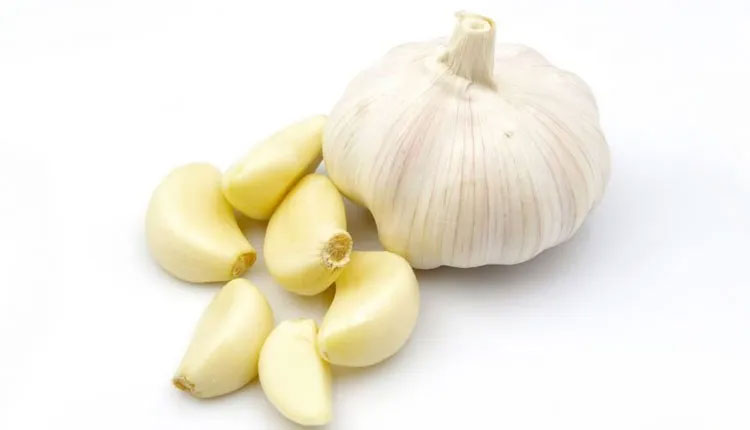 Garlic Health Benefits | garlic health benefits in marathi how can control blood sugar control and cholesterol