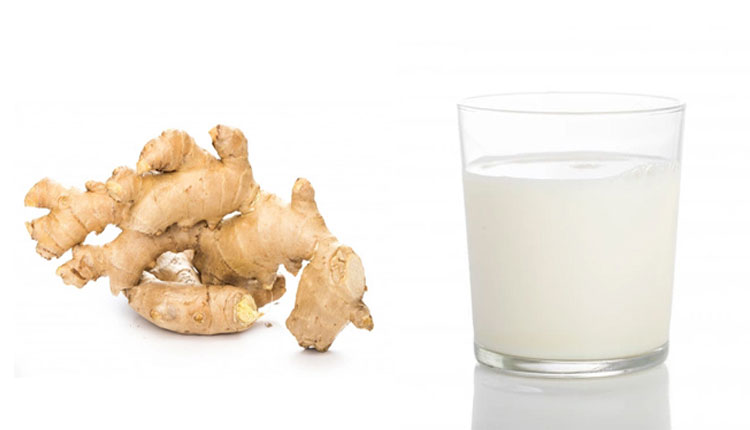 Ginger Milk Benefits | ginger milk is best treatment of these monsoon health problems in marathi