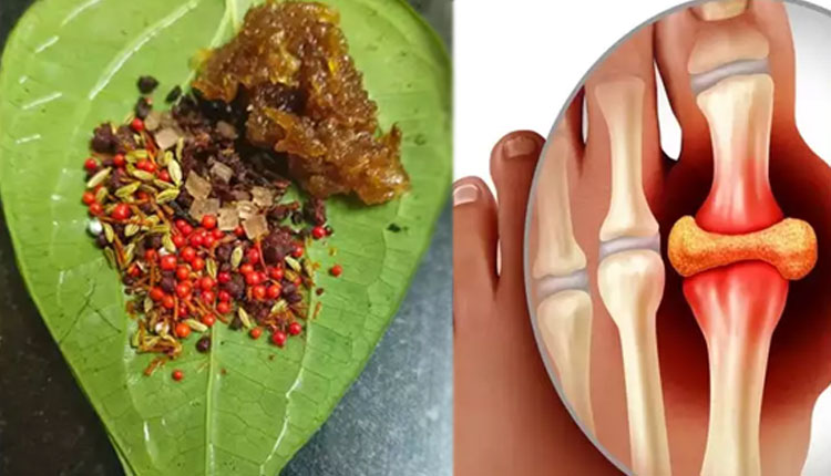 How To Reduce Uric Acid | according to different research chew 3 types of leaf to reduce uric acid level in blood and get rid gout marathi news