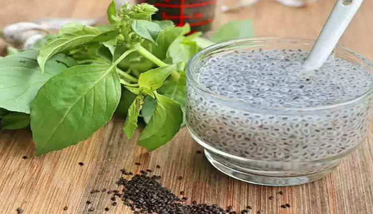 Basil Seeds | basil seeds health benefits immunity weight loss obesity digestion constipation tension stress depression