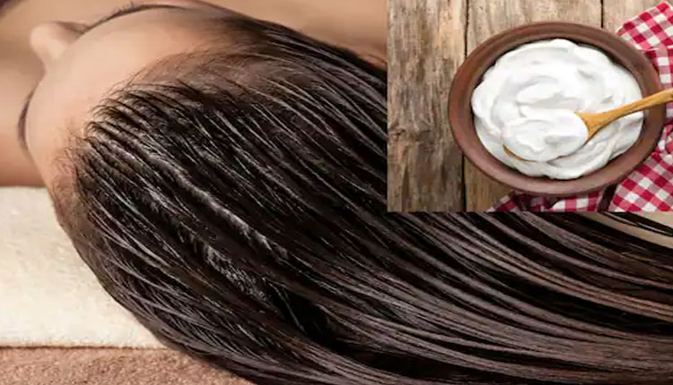 Curd For Hair | benefits of curd for hair