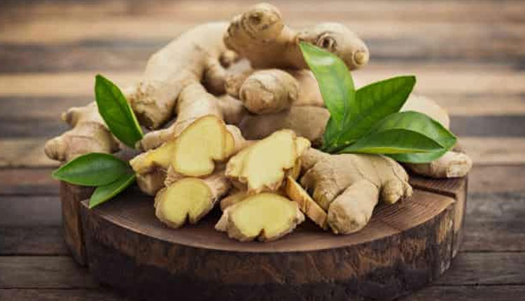 Ginger Make Hair Strong | ginger can also make your hair strong know how to use