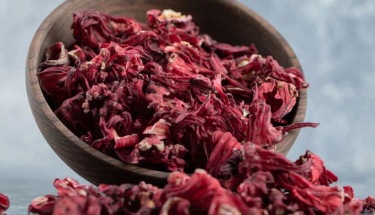 Benefits Of Hibiscus | how to get rid from blood sugar and metabolism you must know this amazing benefits of hibiscus kombucha