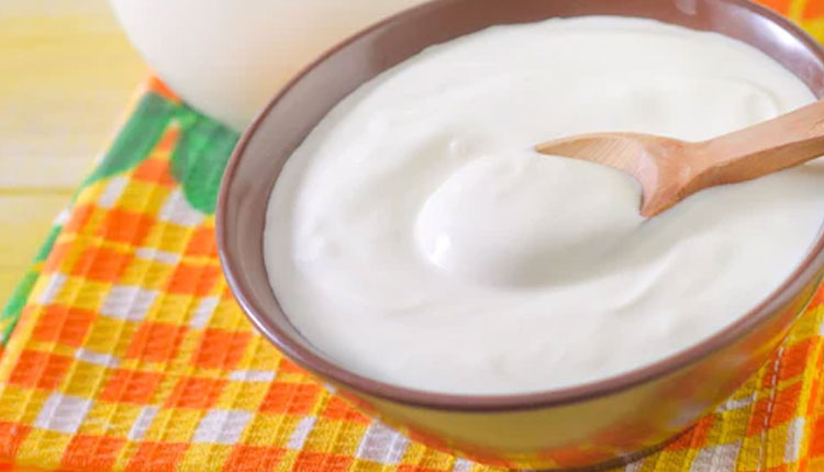 Milk Cream Benefits | skin benefits of milk cream