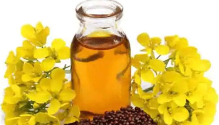 Mustard Oil Price | mustard oil price today update in up uttar pradesh mustard oil fall know latest rate