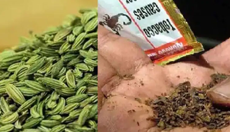 Tobacco Addiction | effective home remedies for tobacco addiction get rid of tobacco eating cravings with fennel seed home remedy