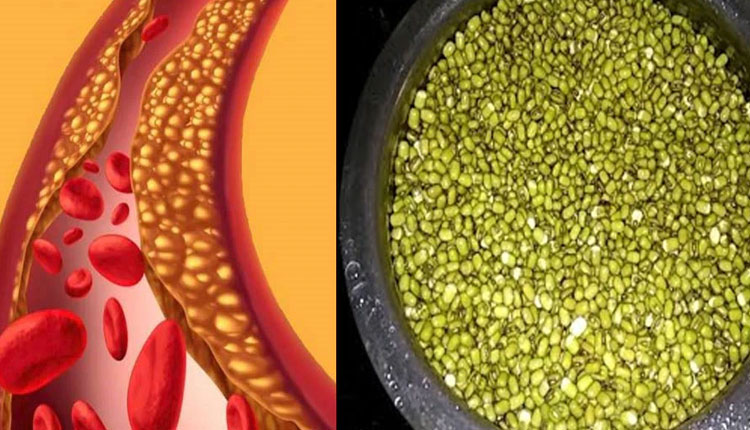 High Cholesterol | soaked whole moong dal as high cholesterol lowering diet food green pulse with peel lentils