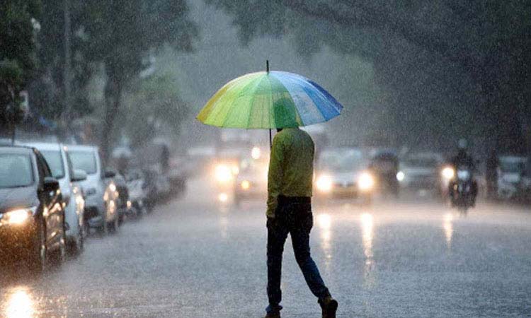 Rain in Maharashtra | yellow alert for rain in the entire maharashtra weather update
