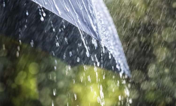 Rain In Maharashtra | weather updates in maharashtra mumbai pune konkan vidarbha imd alert heavy rain
