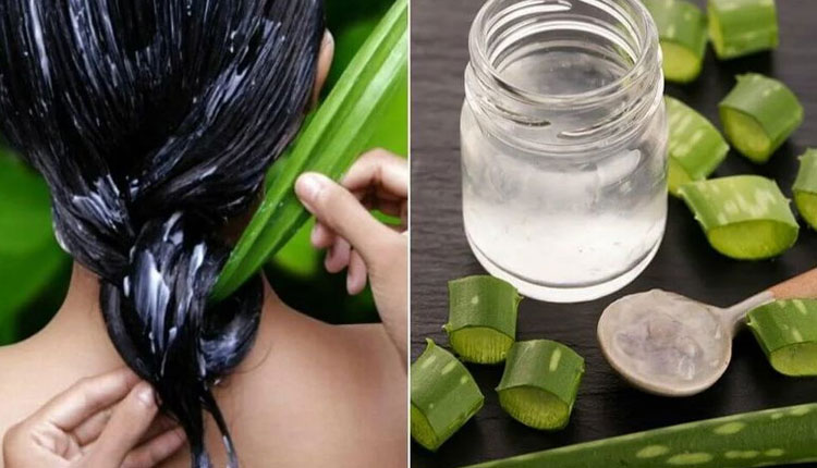 Ayurvedic Remedies For Black Hair | get rid white hair grey hair treatment ayurvedic remedies for black hair