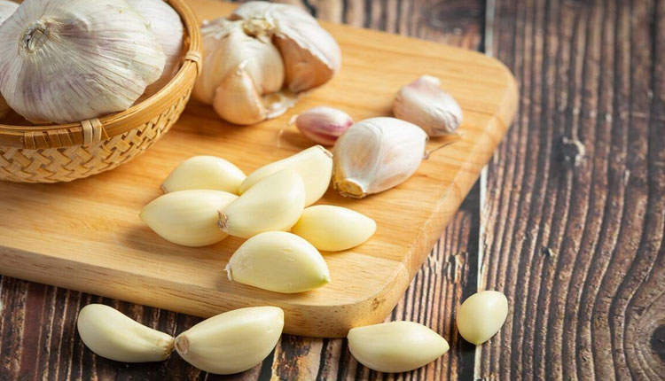 Garlic | excessive use can cause damage to the liver so be careful know the side effect and benefits of garlic