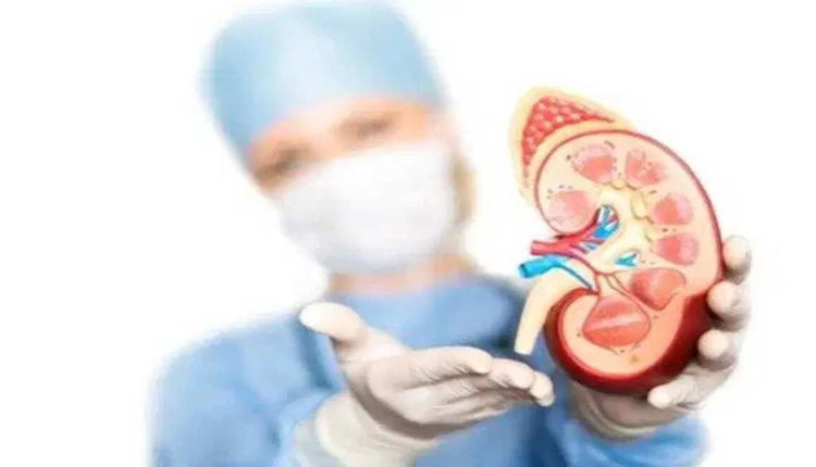 Kidney Health | kidney health avoid these 5 things otherwise kidney can be damaged you should know