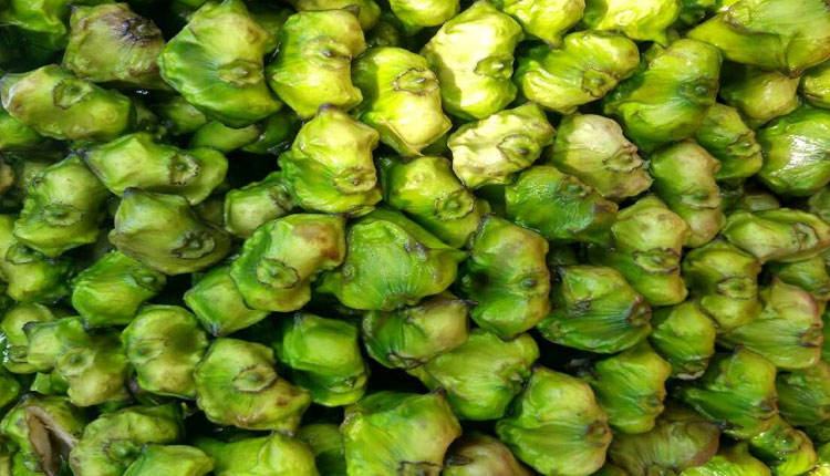 Water Chestnut | diabetic patient can take water chestnut can be beneficial in controlling blood sugar know how