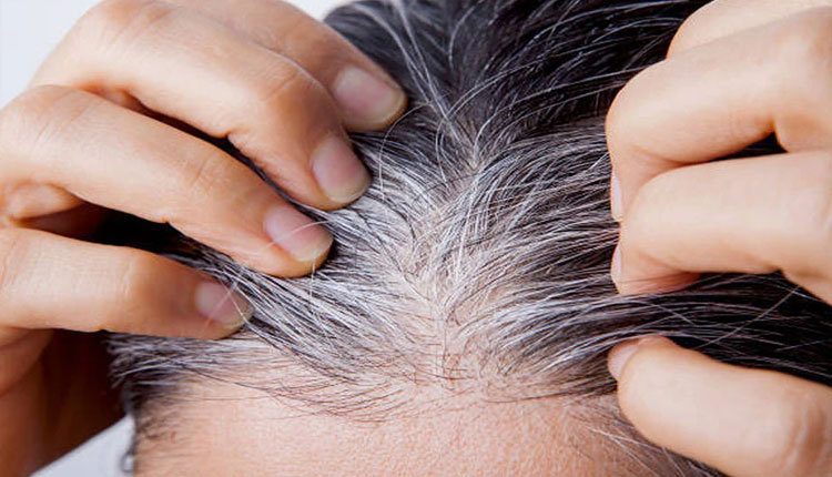 Hair Care Tips | oils for white hair and baldness treatment curry leaves coconut nigella kalongi ka tel strong scalp