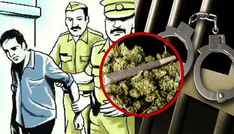 Pune Crime | pune police Crime Branch raids in Yerwada police station limits, arrests two from Madhya Pradesh for smuggling ganja