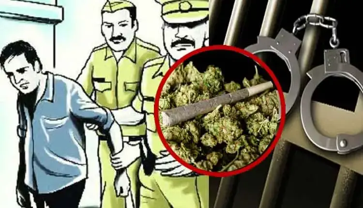 Pune Crime | Pune Police Crime branch arrested a youth who came to Pune city to sell ganja, seized valuables worth two lakhs