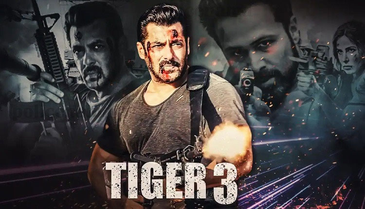 Tiger 3 | this tv actress in an important role in the movie tiger 3