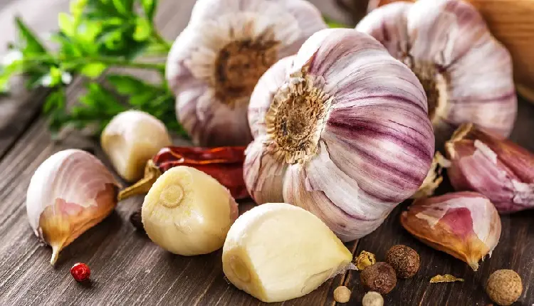Garlic Benefits | garlic benefits eat raw garlic daily in winter to cure these 11 health related problems together