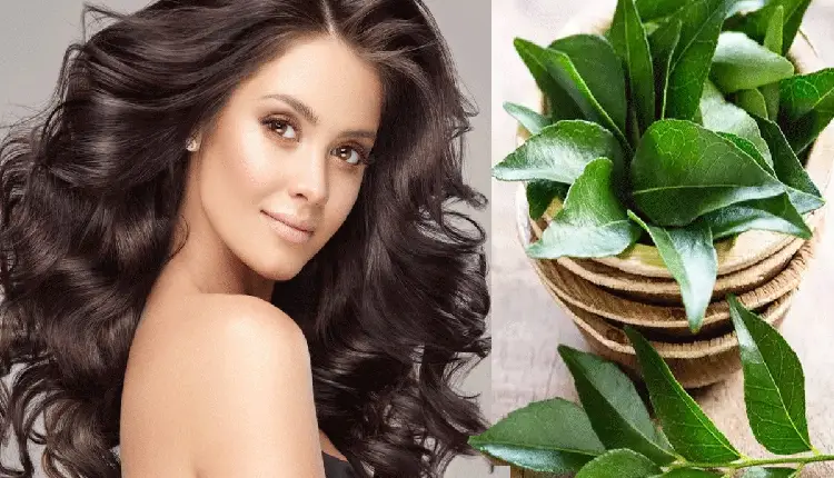Curry Leaves For Hair | curry leaves benefits for hairfall hair care tips