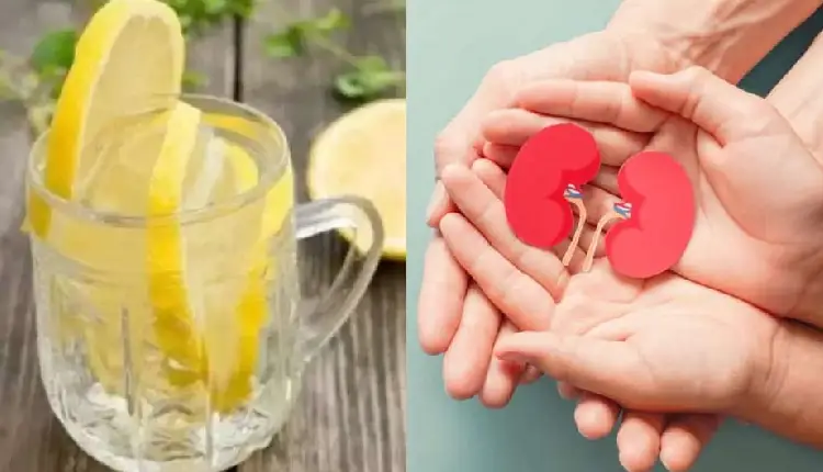 Kidney Health | lemon drink kidney failure benefits mint masala soda lemonade coconut shikanji toxins salt