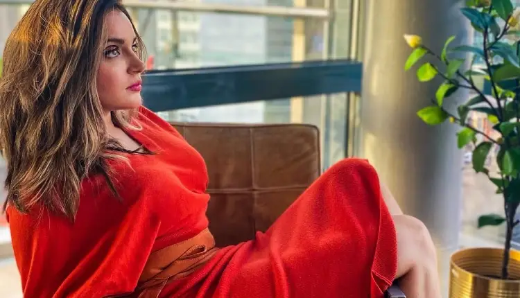 Pakistani Actress Armeena Khan | pakistani actress slams trollers regarding her pregnancy photoshoot her reply went viral