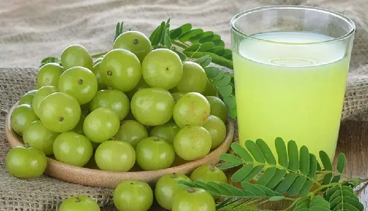 Amla Benefits | drinking gooseberry water reduces obesity improves eyesight