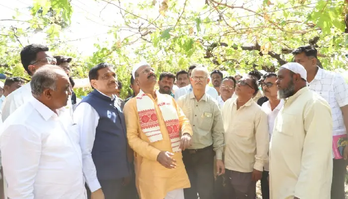 Maharashtra Agriculture Minister Abdul Sattar | Maharashtra Agriculture Minister Abdul Sattar inspected the crops in the damaged areas of Srirampur and Rahata talukas