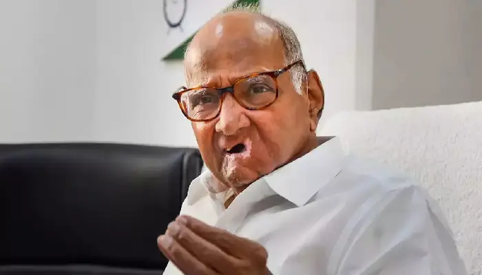  NCP Chief Sharad Pawar | ncp sharad pawar reacts on ajit pawar joining government claims