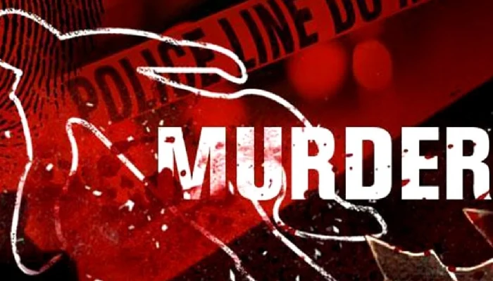Pune Crime News | murder of a person in dandekar bridge area