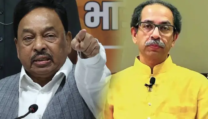 you have done the foolish thing by resigning now rest in peace narayan rane attacked thackeray