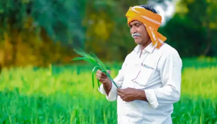 Crop Insurance | Crop insurance for one rupee; Appeal to avail the scheme