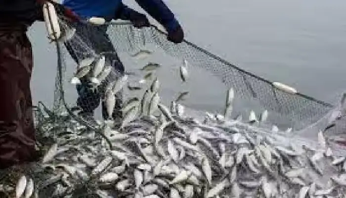 Fish Production India | fish production india eight percent share in global fish production says minister purushottam rupala