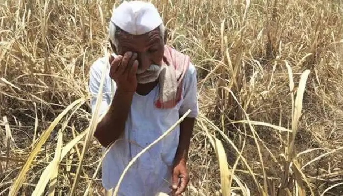 Maharashtra Govt Help To Farmers | Maharashtra govt to provide financial aid to farmers for damage to crops