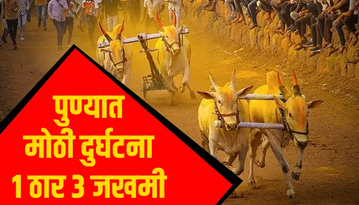 Pune Crime News | Loni Kalbhor Police Station - 1 killed and 3 injured in a stage collapse during a Bailgada Sharyat Bullock Cart Race in Pune