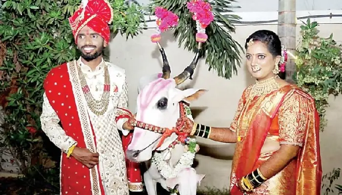 Pune News | farmer family in Pune; The girl was first given a khillar cow-bull pair