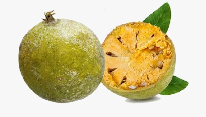 Bael Fruit Benefits | 5 amazing benefits of wood apple bael reduce blood sugar improve piles digestion immediately Bael